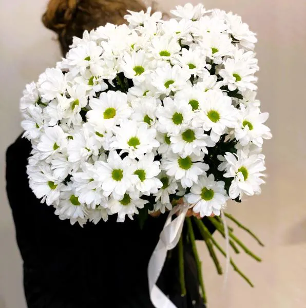 Ромашковая радость