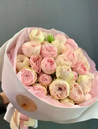 Очарование нежности