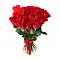 Просто розы
